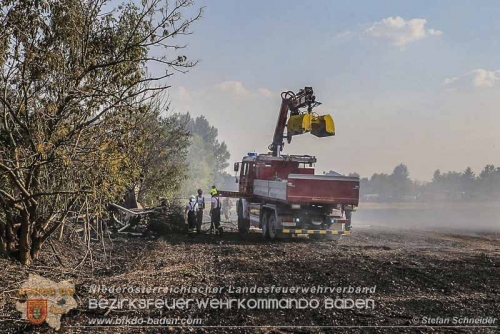 20150812 - Grossbrand Kottingbrunn 