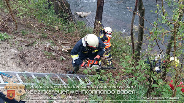 20160418 Pkw landet im Bachbett der Schwechat -Personenrettung  Foto:  Joachim Zagler FF Alland