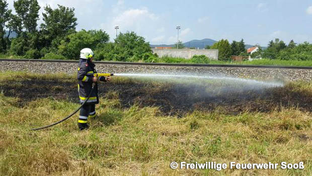 20160625 Flurbrnde auf der Sdbahnstrecke durch defekte Bremse eines Gterzuges  Foto:  Freiwillige Feuerwehr Soo