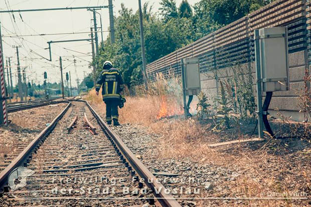 20160625 Flurbrnde auf der Sdbahnstrecke durch defekte Bremse eines Gterzuges  Foto:   Daniel Wirth