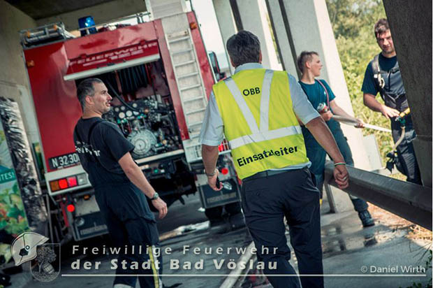 20160625 Flurbrnde auf der Sdbahnstrecke durch defekte Bremse eines Gterzuges  Foto:   Daniel Wirth