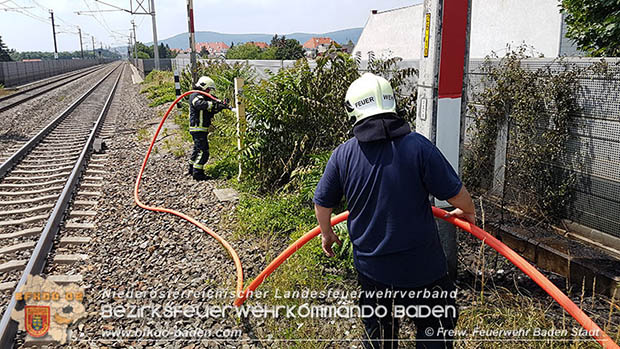 20160625 Flurbrnde auf der Sdbahnstrecke durch defekte Bremse eines Gterzuges Foto:  Stefan Schneider