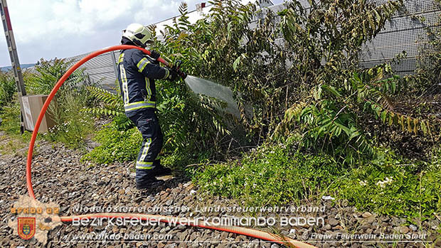 20160625 Flurbrnde auf der Sdbahnstrecke durch defekte Bremse eines Gterzuges Foto:  Stefan Schneider