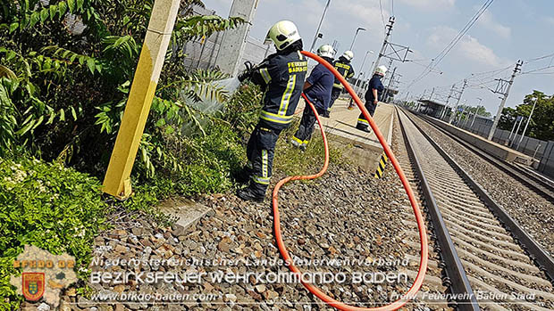 20160625 Flurbrände auf der Südbahnstrecke durch defekte Bremse eines Güterzuges Foto: © Stefan Schneider 20160625 Flurbrände auf der Südbahnstrecke durch defekte Bremse eines Güterzuges Foto: © Stefan Schneider