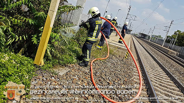 20160625 Flurbrnde auf der Sdbahnstrecke durch defekte Bremse eines Gterzuges Foto:  Stefan Schneider