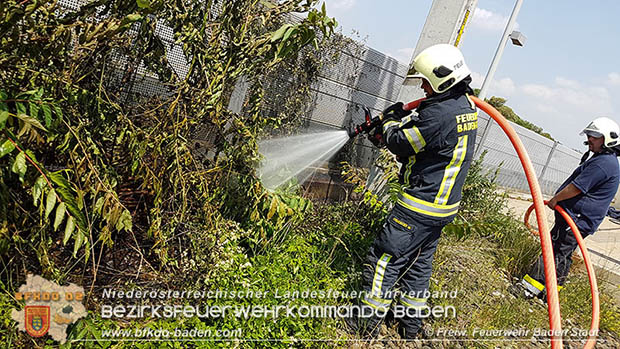20160625 Flurbrände auf der Südbahnstrecke durch defekte Bremse eines Güterzuges Foto: © Stefan Schneider 20160625 Flurbrände auf der Südbahnstrecke durch defekte Bremse eines Güterzuges Foto: © Stefan Schneider