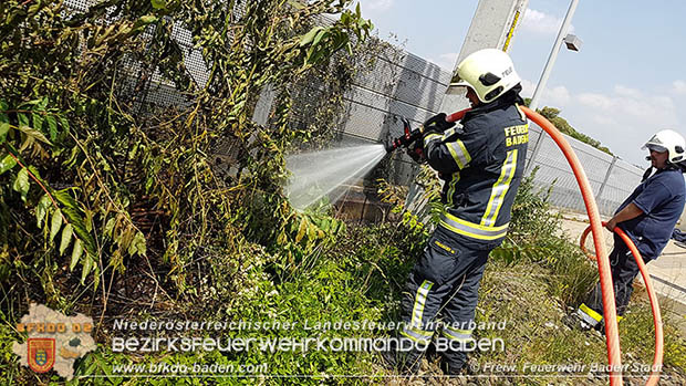 20160625 Flurbrnde auf der Sdbahnstrecke durch defekte Bremse eines Gterzuges Foto:  Stefan Schneider