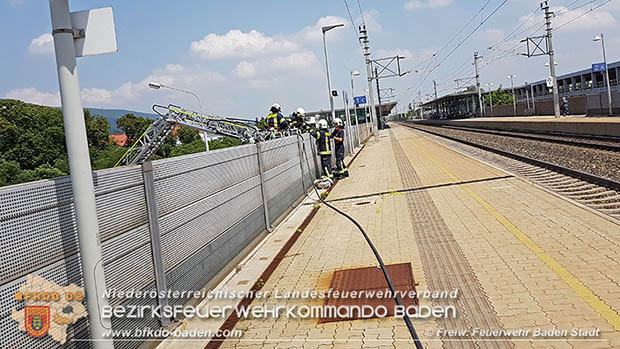 20160625 Flurbrnde auf der Sdbahnstrecke durch defekte Bremse eines Gterzuges Foto:  Stefan Schneider