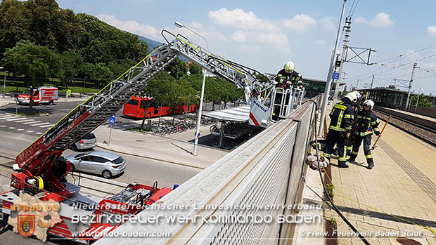 20160625 Flurbrnde auf der Sdbahnstrecke durch defekte Bremse eines Gterzuges Foto:  Stefan Schneider