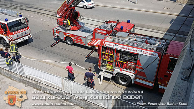 20160625 Flurbrnde auf der Sdbahnstrecke durch defekte Bremse eines Gterzuges Foto:  Stefan Schneider