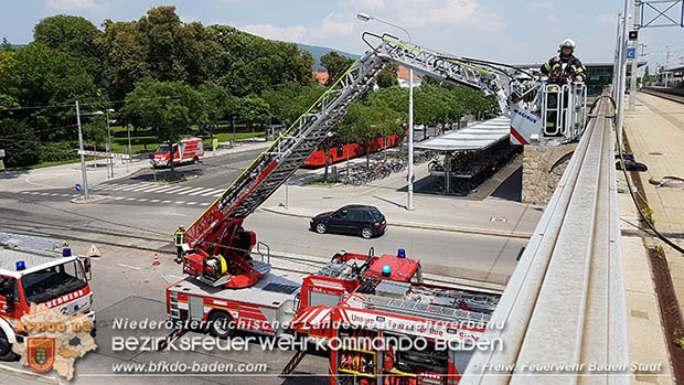 20160625 Flurbrnde auf der Sdbahnstrecke durch defekte Bremse eines Gterzuges Foto:  Stefan Schneider