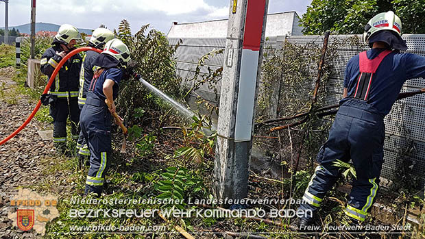 20160625 Flurbrnde auf der Sdbahnstrecke durch defekte Bremse eines Gterzuges Foto:  Stefan Schneider