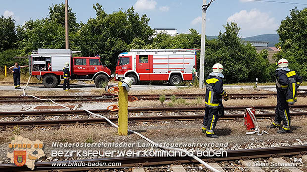 20160625 Flurbrnde auf der Sdbahnstrecke durch defekte Bremse eines Gterzuges Foto:  Stefan Schneider