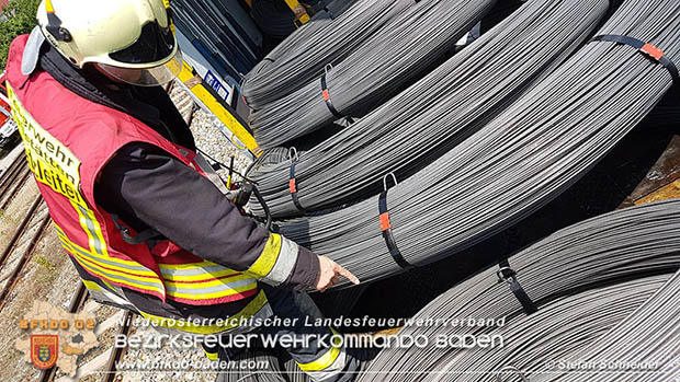 20160625 Flurbrnde auf der Sdbahnstrecke durch defekte Bremse eines Gterzuges Foto:  Stefan Schneider