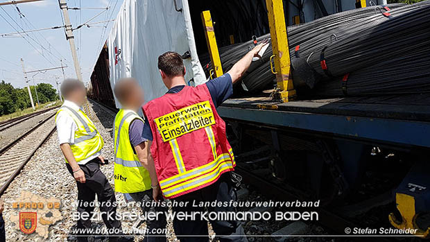 20160625 Flurbrnde auf der Sdbahnstrecke durch defekte Bremse eines Gterzuges Foto:  Stefan Schneider