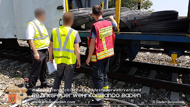 20160625 Flurbrnde auf der Sdbahnstrecke durch defekte Bremse eines Gterzuges Foto:  Stefan Schneider