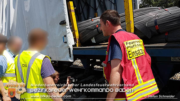 20160625 Flurbrnde auf der Sdbahnstrecke durch defekte Bremse eines Gterzuges Foto:  Stefan Schneider