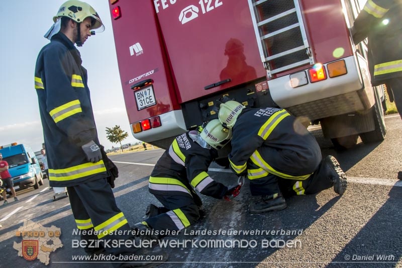 20160817 Baggerbergung Teesdorf, Foto Daniel Wirth 20160817 Baggerbergung Teesdorf, Foto Daniel Wirth