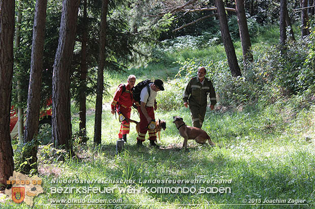 20160823 Personensuche nach 7o-jhriger Dame in Klausen-Leopoldsdorf  Foto:  Joachim ZAGLER