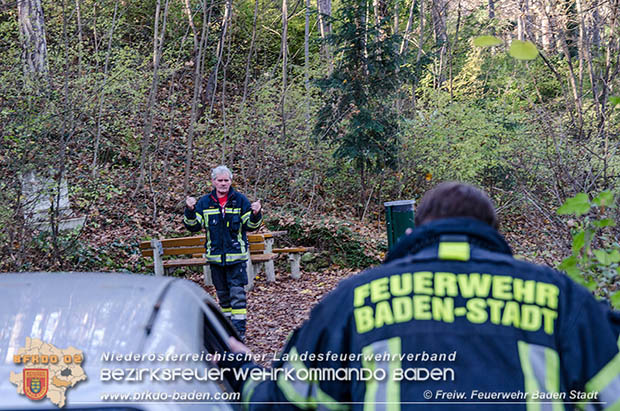 20161121 Pkw Bergung aus dem Waldgebiet Kurpark Baden Bereich Anna Hhe  Foto:  FF Baden-Stadt