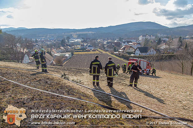 20170307 Flurbrand auf der "Popp-Wiese" in Pottenstein  Foto: © Stefan Schneider BFK Baden