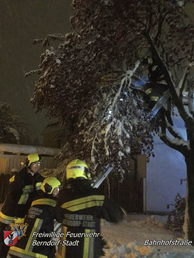 20170420 Groes Aufrumen nach dem Schneechaos auch im Triestingtal  Foto: FF Berndorf-Stadt