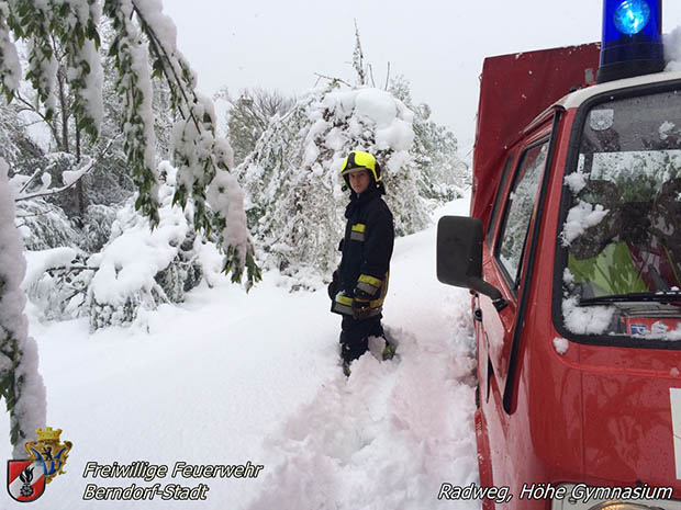 20170420 Groes Aufrumen nach dem Schneechaos auch im Triestingtal  Foto: FF Berndorf-Stadt