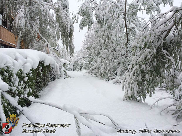 20170420 Groes Aufrumen nach dem Schneechaos auch im Triestingtal  Foto: FF Berndorf-Stadt