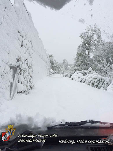 20170420 Groes Aufrumen nach dem Schneechaos auch im Triestingtal  Foto: FF Berndorf-Stadt