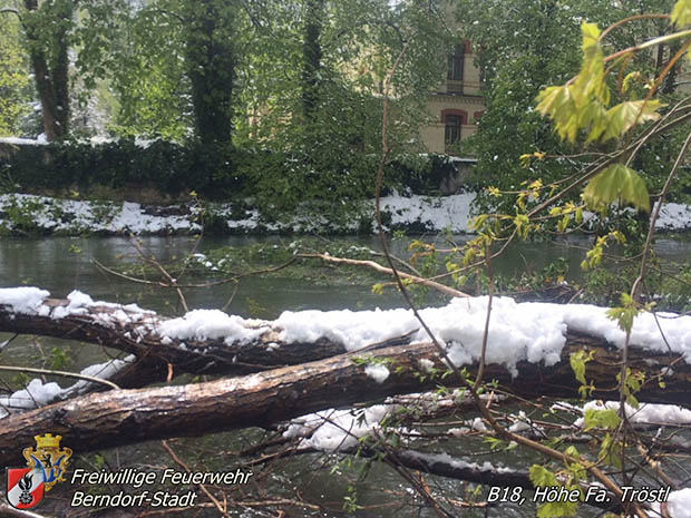 20170420 Groes Aufrumen nach dem Schneechaos auch im Triestingtal  Foto: FF Berndorf-Stadt