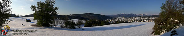 20170420 Groes Aufrumen nach dem Schneechaos auch im Triestingtal  Foto: FF Berndorf-Stadt