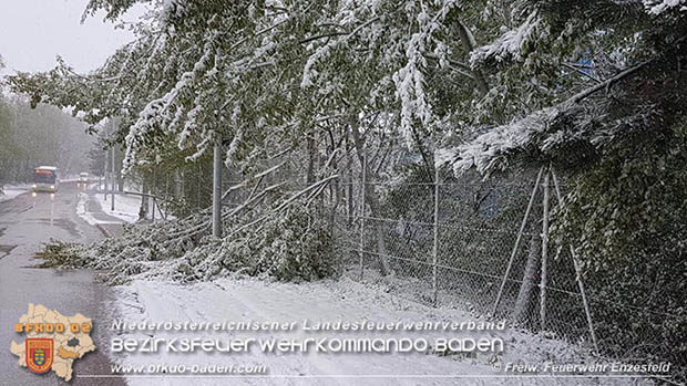 20170420 Großes Aufräumen nach dem Schneechaos auch im Triestingtal Foto: © FF Enzesfeld 20170420 Großes Aufräumen nach dem Schneechaos auch im Triestingtal Foto: © FF Enzesfeld