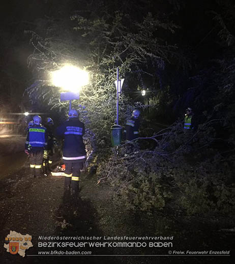 20170420 Groes Aufrumen nach dem Schneechaos auch im Triestingtal  Foto:  FF Enzesfeld