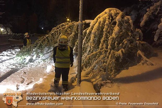 20170420 Groes Aufrumen nach dem Schneechaos auch im Triestingtal  Foto:  FF Enzesfeld