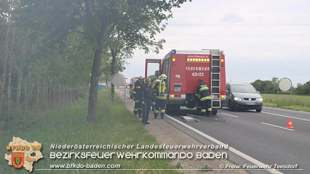 20170520 Unerlaubtes Verbrennen im Freien sorgte fr Feuerwehreinsatz  Foto:  FF Teesdorf