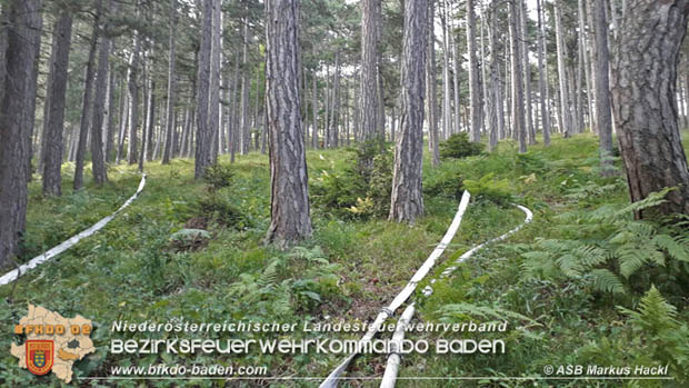 20170624 Waldbrand bei Grillenberg Gemeinde Hernstein Foto: © ASB Markus Hackl 20170624 Waldbrand bei Grillenberg Gemeinde Hernstein Foto: © ASB Markus Hackl