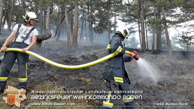 20170624 Waldbrand bei Grillenberg Gemeinde Hernstein  Foto:  ASB Markus Hackl