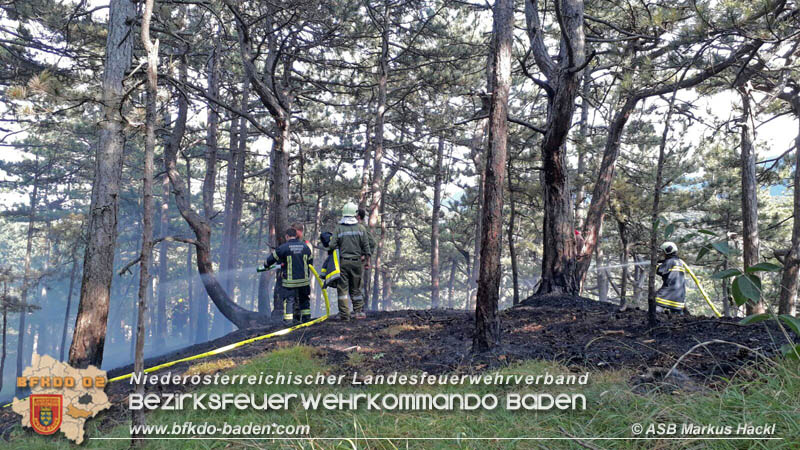 20170624 Waldbrand bei Grillenberg Gemeinde Hernstein  Foto:  ASB Markus Hackl