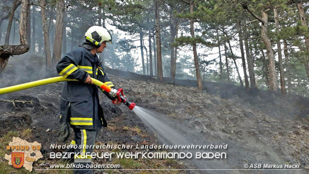 20170624 Waldbrand bei Grillenberg Gemeinde Hernstein  Foto:  ASB Markus Hackl