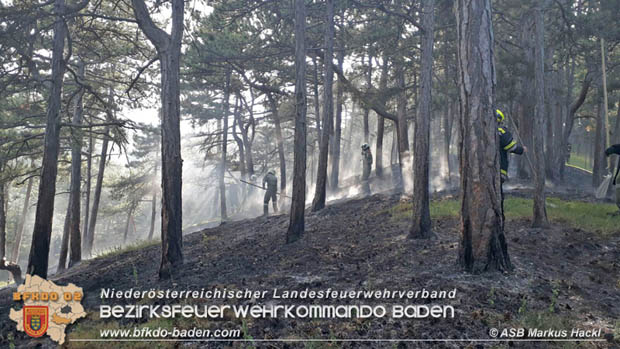 20170624 Waldbrand bei Grillenberg Gemeinde Hernstein  Foto:  ASB Markus Hackl