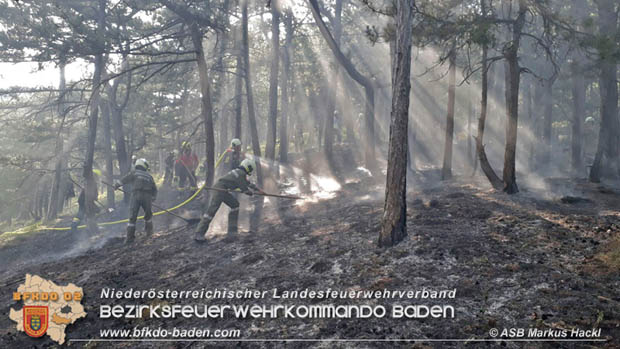 20170624 Waldbrand bei Grillenberg Gemeinde Hernstein  Foto:  ASB Markus Hackl