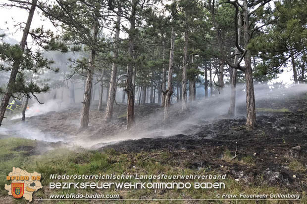 20170624 Waldbrand bei Grillenberg Gemeinde Hernstein  Foto:  FF Grillenberg