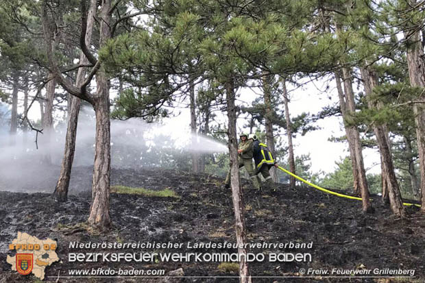 20170624 Waldbrand bei Grillenberg Gemeinde Hernstein  Foto:  FF Grillenberg