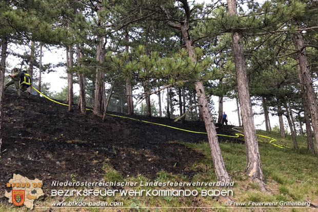 20170624 Waldbrand bei Grillenberg Gemeinde Hernstein  Foto:  FF Grillenberg