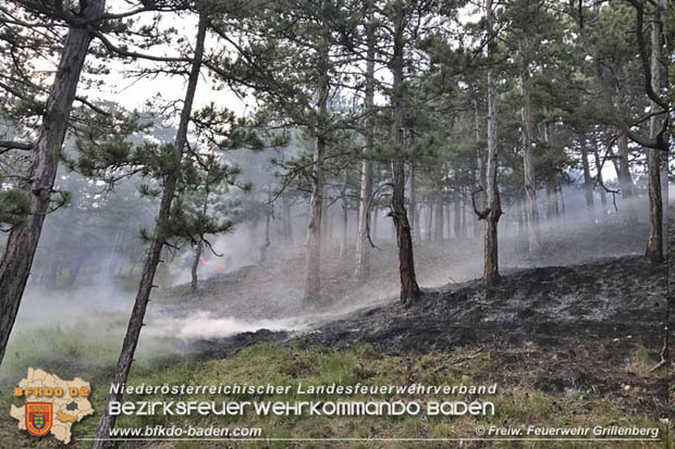 20170624 Waldbrand bei Grillenberg Gemeinde Hernstein  Foto:  FF Grillenberg