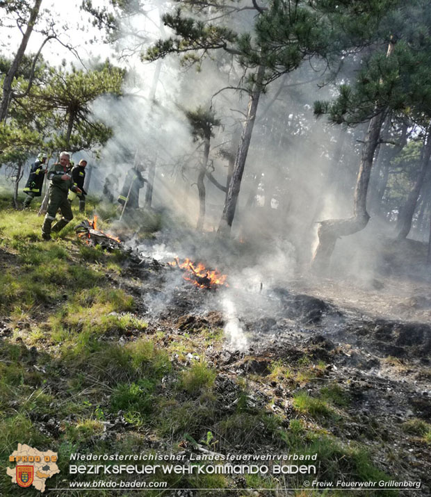 20170624 Waldbrand bei Grillenberg Gemeinde Hernstein  Foto:  FF Grillenberg