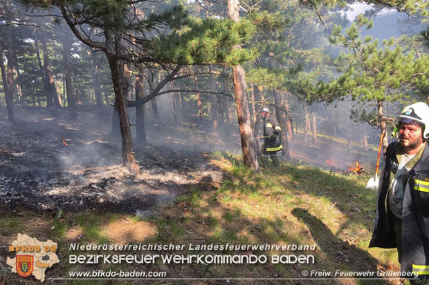 20170624 Waldbrand bei Grillenberg Gemeinde Hernstein  Foto:  FF Grillenberg