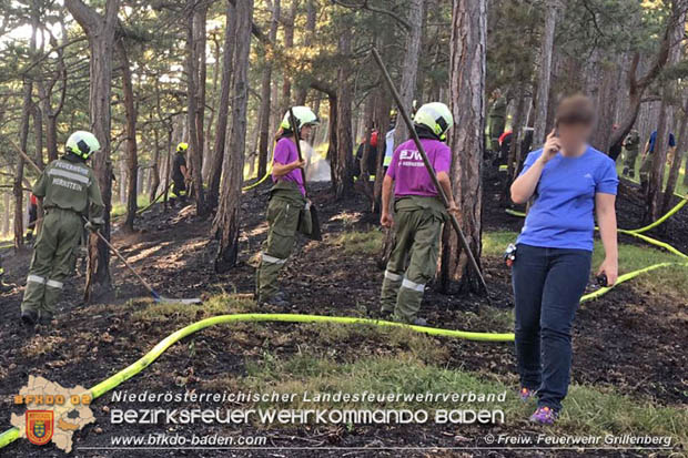 20170624 Waldbrand bei Grillenberg Gemeinde Hernstein  Foto:  FF Grillenberg