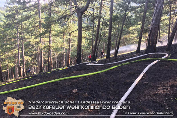 20170624 Waldbrand bei Grillenberg Gemeinde Hernstein  Foto:  FF Grillenberg