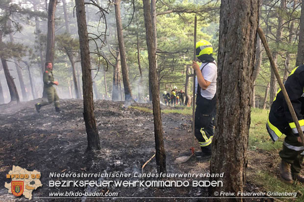 20170624 Waldbrand bei Grillenberg Gemeinde Hernstein  Foto:  FF Grillenberg